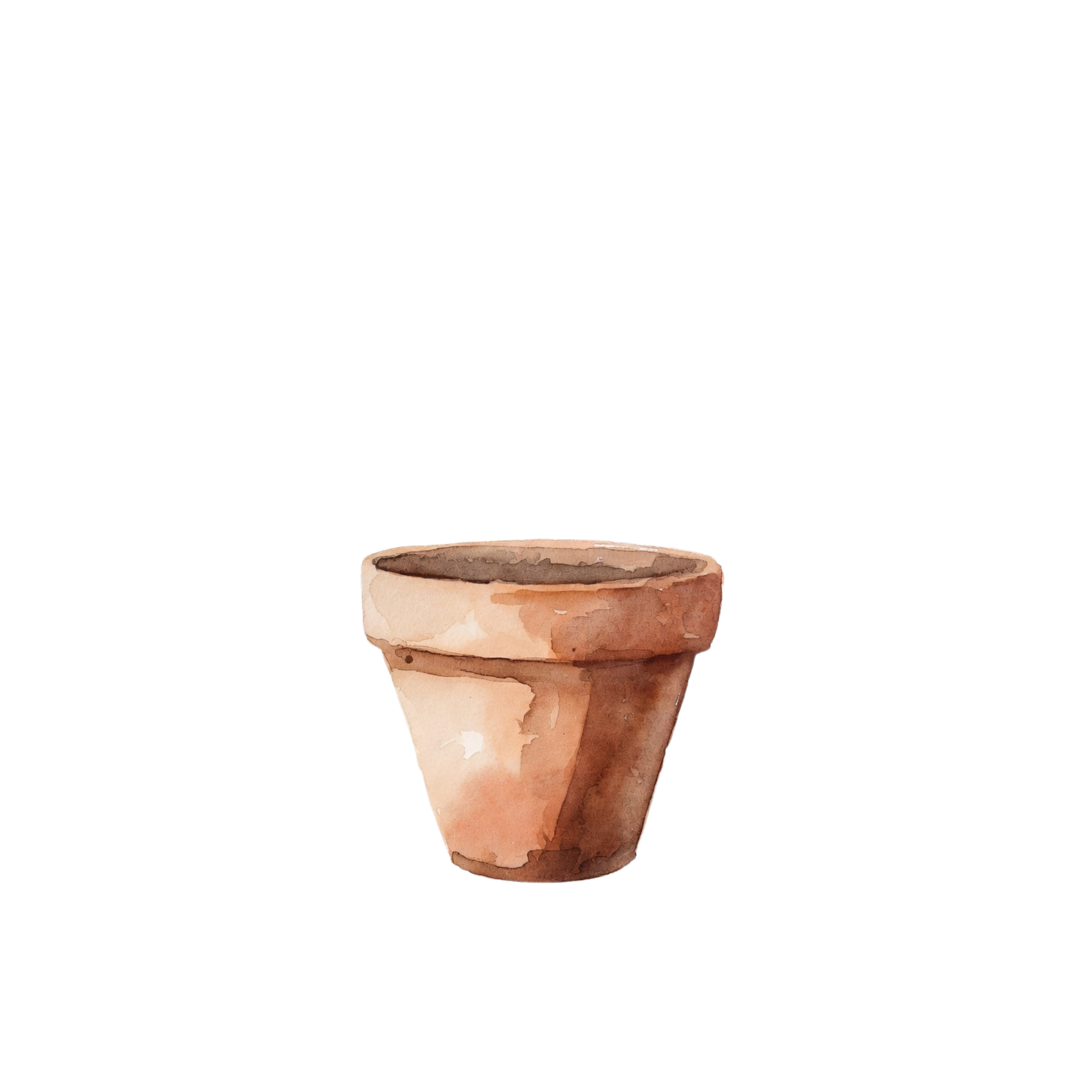 Empty terracotta pot